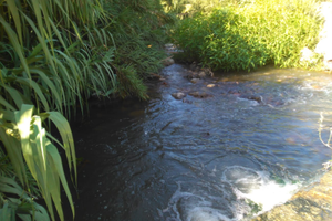 Terreno con piccolo rudere