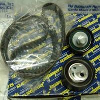 Kit Cinghie Distribuzione Per Dr0 Dr1 Dr2 KDD009