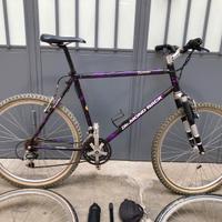 MTB Diamond Back Topanga anni 90