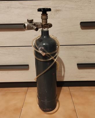 impianto CO2 acquario 