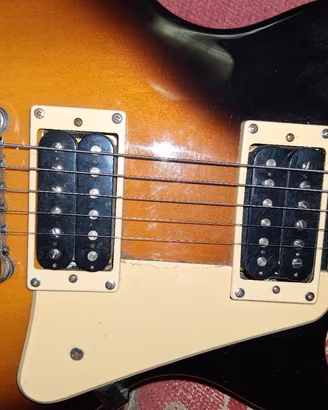 Epiphone les poul 100