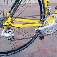 Bici olmo