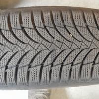GOMME INVERNALI PANDA