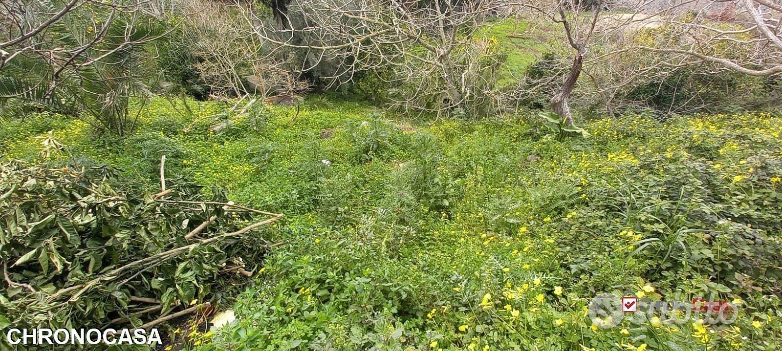 Locanda, terreno con ruderi e deposito - Vista 2