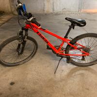 Bicicletta ragazzo trek 24