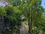 Immagine 28