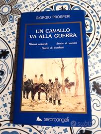 Un cavallo va alla guerra di Giorgio Prosperi