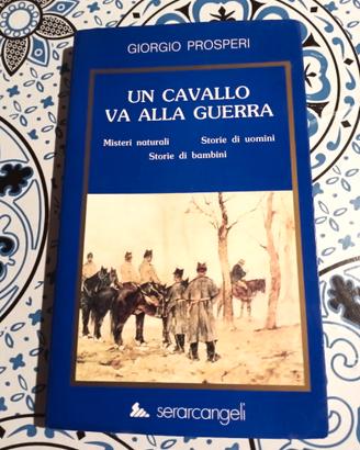 Un cavallo va alla guerra di Giorgio Prosperi
