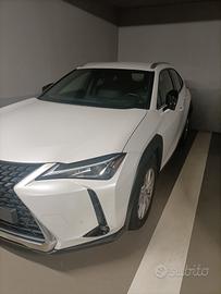  Lexus UX 250 Hybrid 
