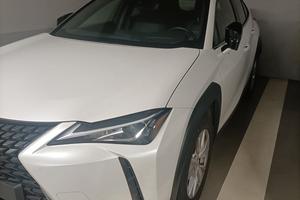  Lexus UX 250 Hybrid 