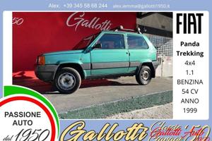 FIAT Panda 1.1 54 cv 4x4 benzina