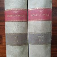 Manuale pratico di diritto civile Cesare Baldi