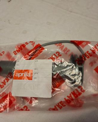 Galleggiante originale scarabeo