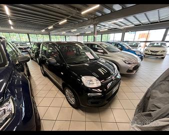 FIAT Panda 3ª serie - Panda 1.2 Easy