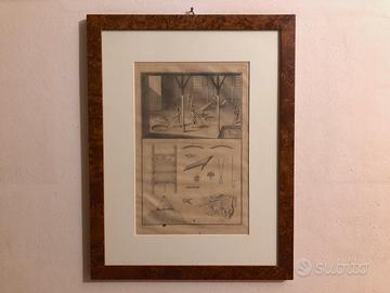 Acquaforte di Diderot e D'Alembert (anno 1771)