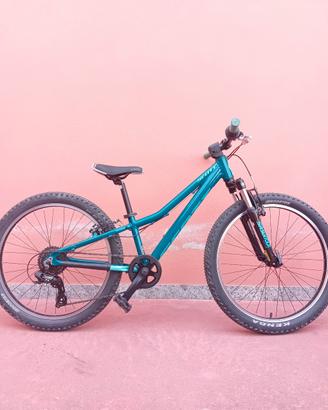 mtb scott 24