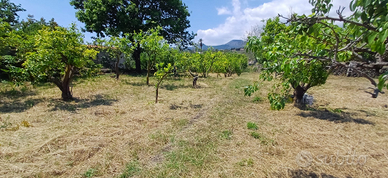 Vendiamo Terreno+ due stanze magazzino catastate