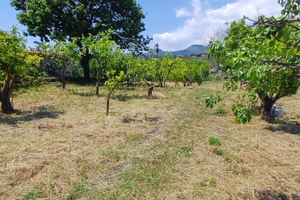 Vendiamo Terreno+ due stanze magazzino catastate