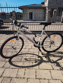 Bicicletta bambino adolescente 