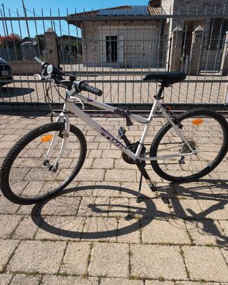 Bicicletta bambino adolescente 