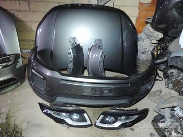 Musata evoque 2017 2.0