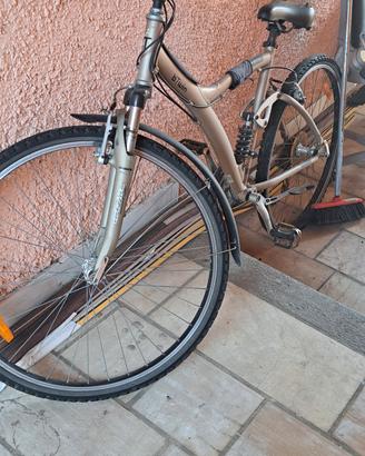 Bicicletta 