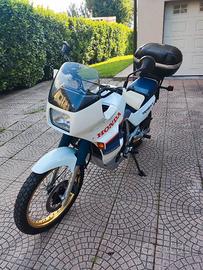 Honda XL 600 V Transalp