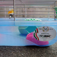 Gabbia IMAC made in Italy come nuova