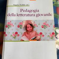 Libro “Pedagogia della letteratura giovanile”