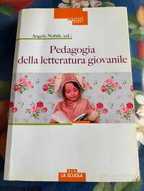 Libro “Pedagogia della letteratura giovanile”