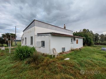 Villa con azienda agricola avviata