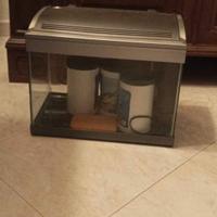 acquario 30 litri