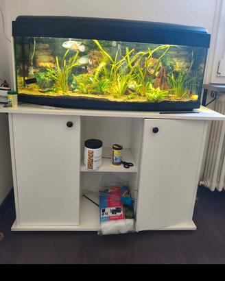 acquario 100litri vetro curvo panoramico 