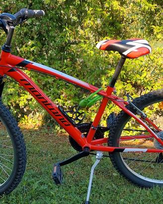 Bicicletta MTB montana 24"