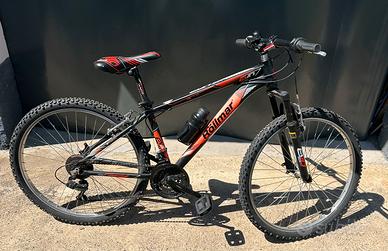 Mountain Bike bici Rollmar ragazzo