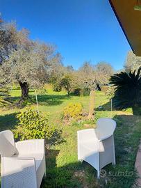 Villa immersa nel verde