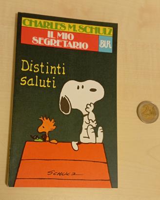 Fumetto Snoopy 