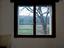 Immagine 12