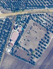 Splendida Villa con Terreno e Strutture per Manegg