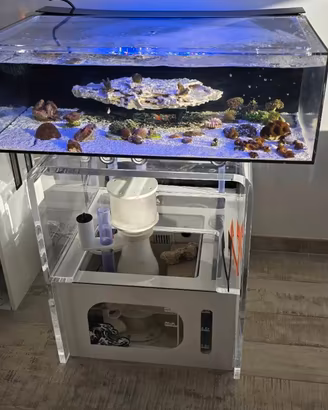 acquario marino plexiglass