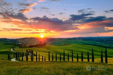 Complesso immobiliare