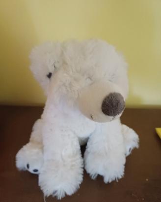 Peluche Orso Bianco