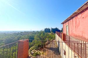 Mascali, Azienda agricola con rustici