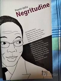 Libro di poesie contemporaneo