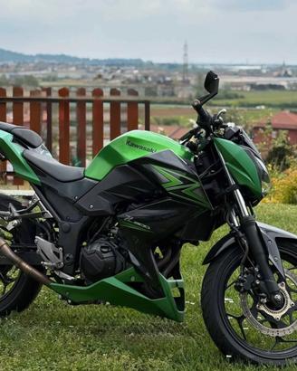 Kawasaki z300