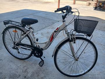 bici con cestino 