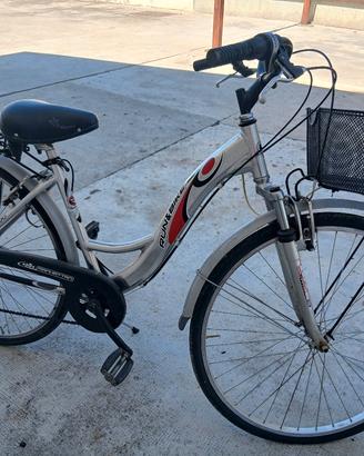 bici con cestino 
