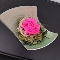 rosa stabilizzata 
