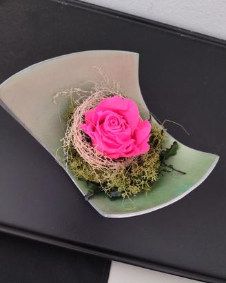 rosa stabilizzata 