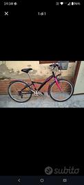 Bicicletta bambina 